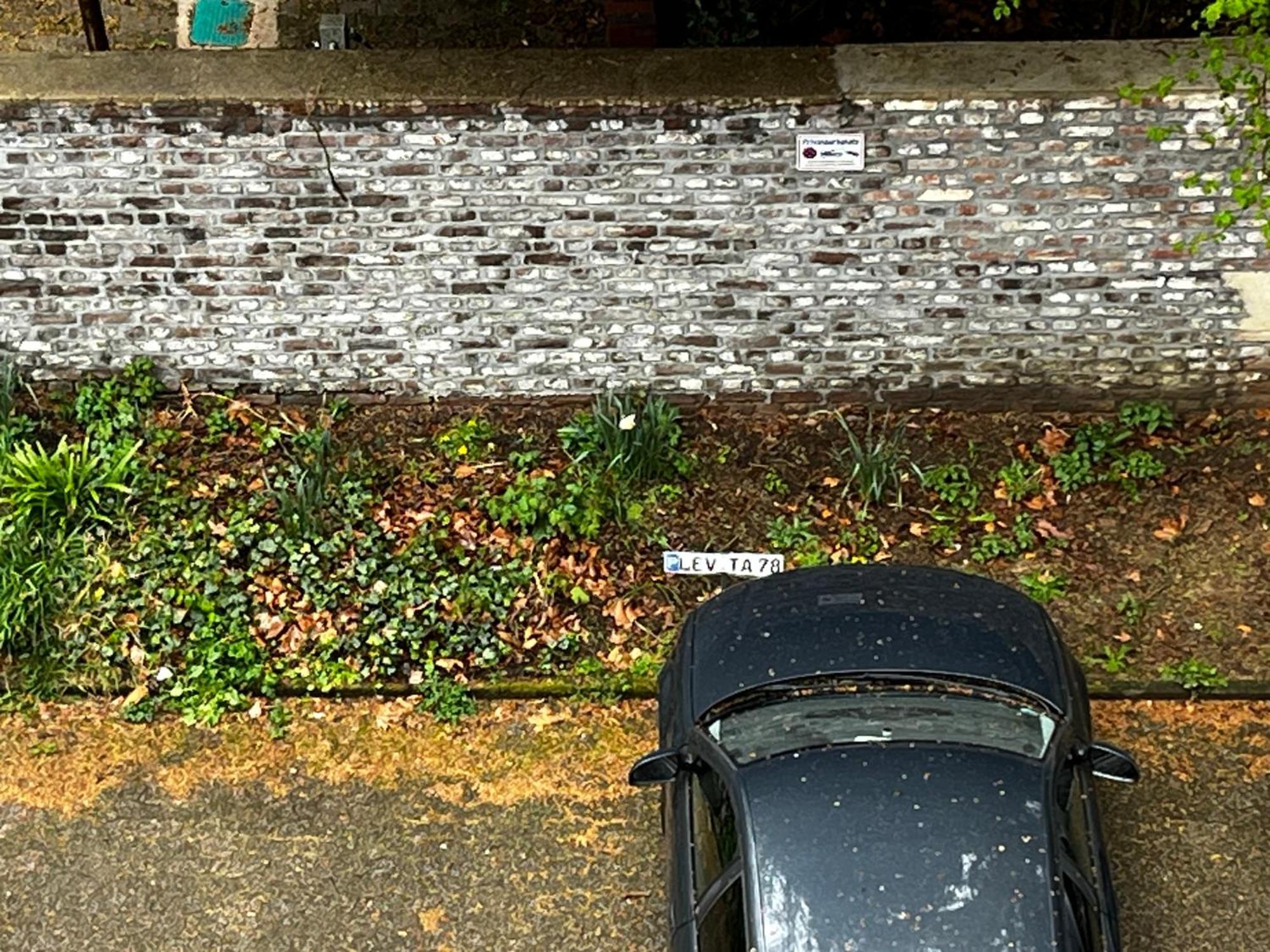 Gemuetliche, Ganze Wohnung In Ruhiger, Zentraler Lage Leverkusen Buitenkant foto